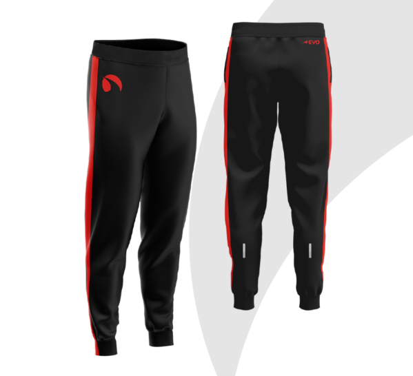 Спортивные штаны FUDOSHIN Pro